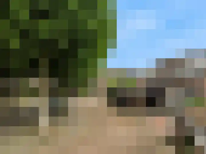 Maretakhof 29 Roermond thumbnail 35