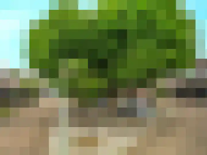 Maretakhof 29 Roermond thumbnail 36