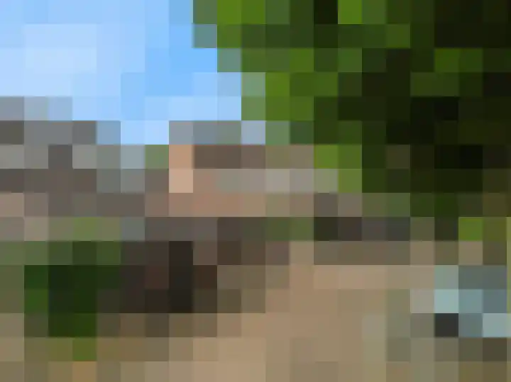 Maretakhof 29 Roermond thumbnail 5