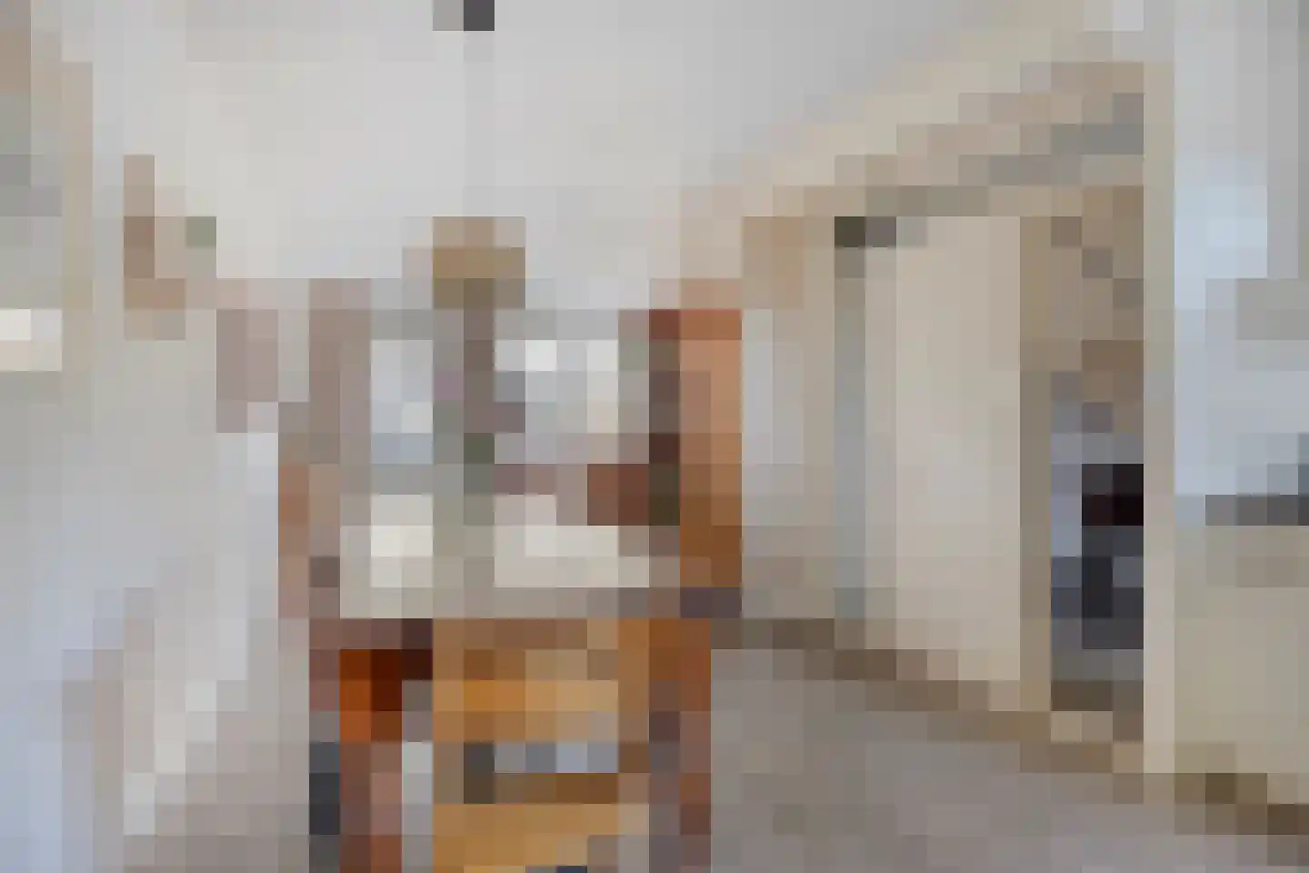 Maretakhof 9 Roermond thumbnail 14