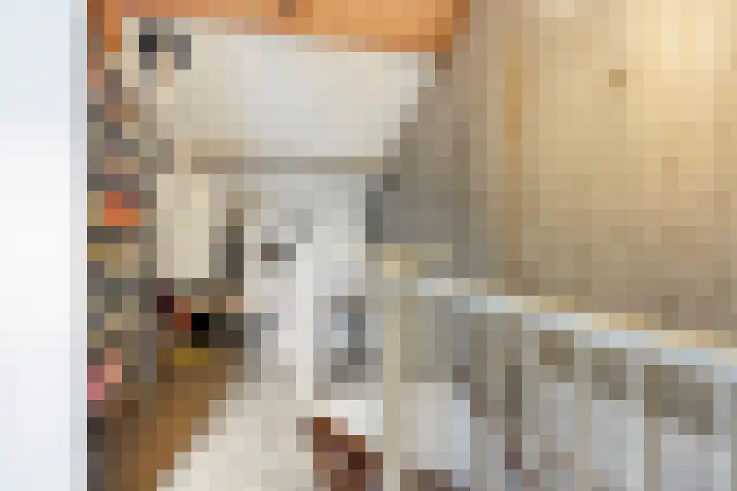 Maretakhof 9 Roermond thumbnail 32