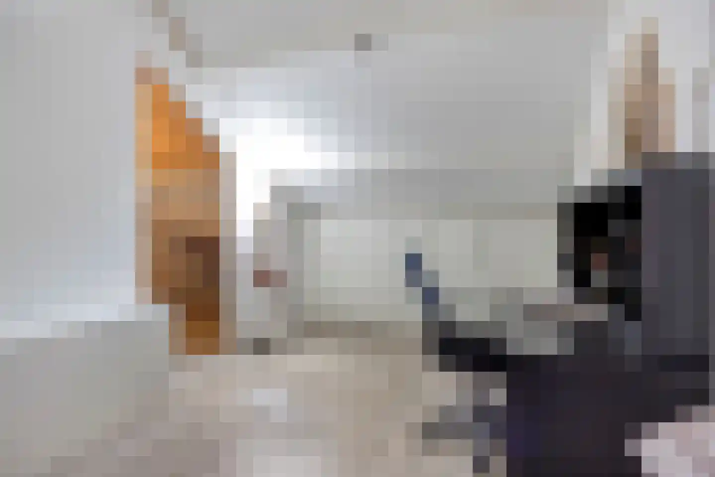 Maretakhof 9 Roermond thumbnail 36