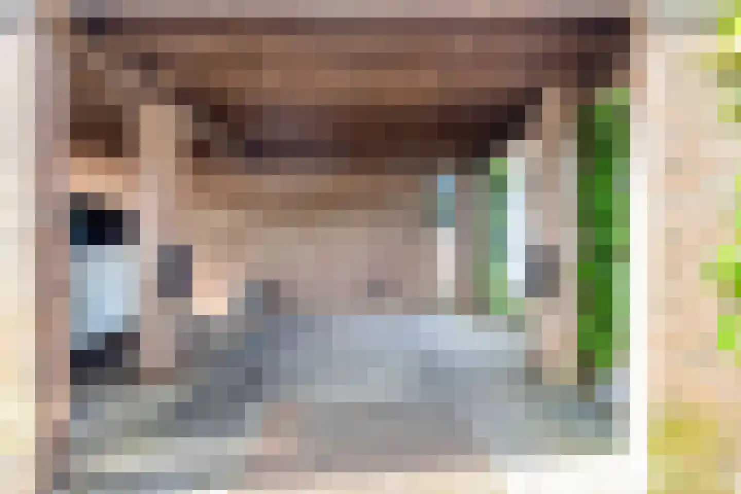 Maretakhof 9 Roermond thumbnail 45