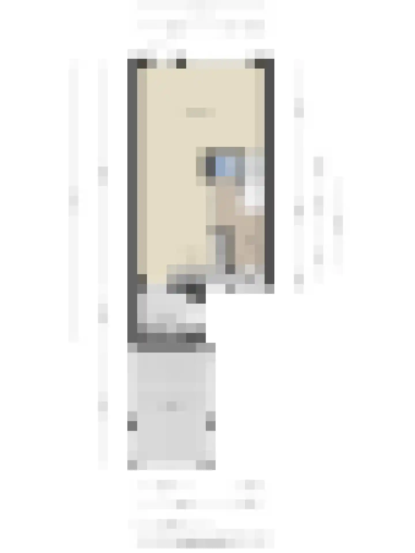 Maretakhof 9 Roermond thumbnail 51