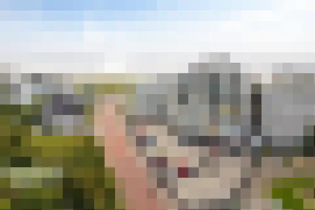 Marevista 23 Noordwijk thumbnail 55