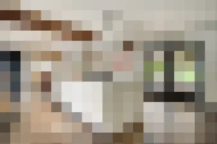 Mareweg 21 Schimmert thumbnail 12