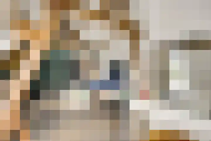 Mareweg 21 Schimmert thumbnail 20