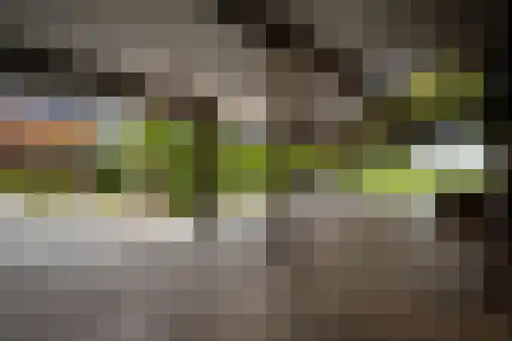 Mareweg 21 Schimmert thumbnail 25