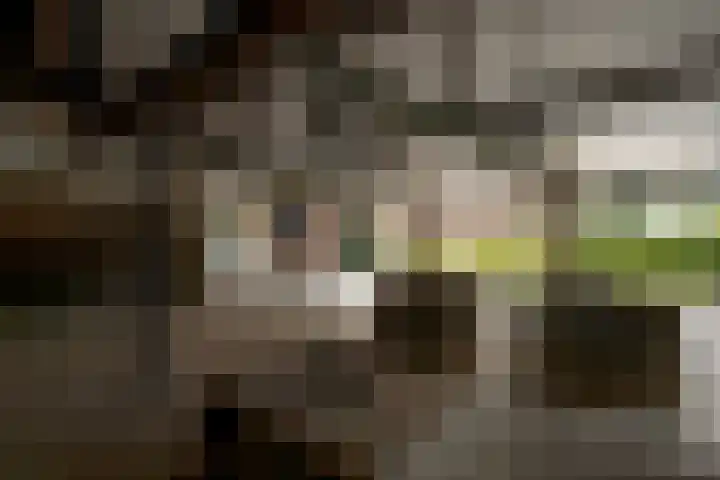 Mareweg 21 Schimmert thumbnail 26