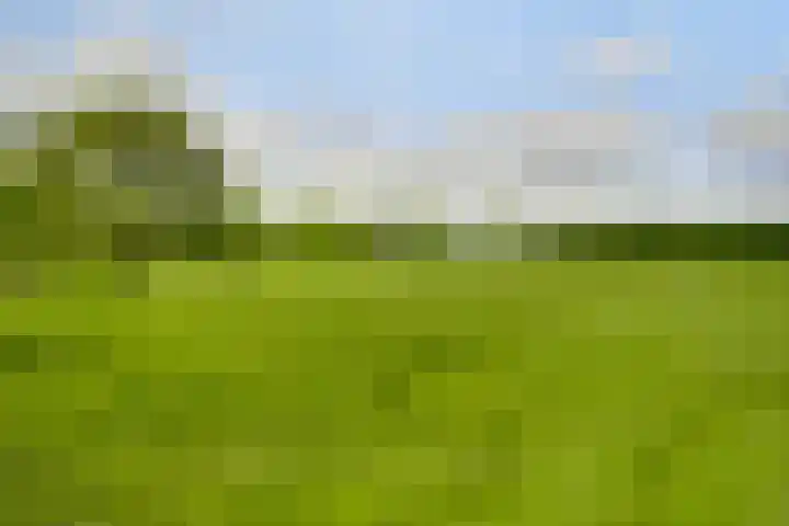 Mareweg 21 Schimmert thumbnail 30