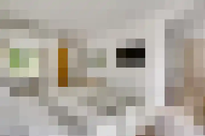 Mareweg 23 a Schimmert thumbnail 17