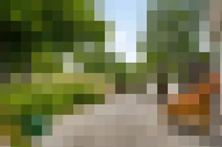 Mareweg 23 a Schimmert thumbnail 30