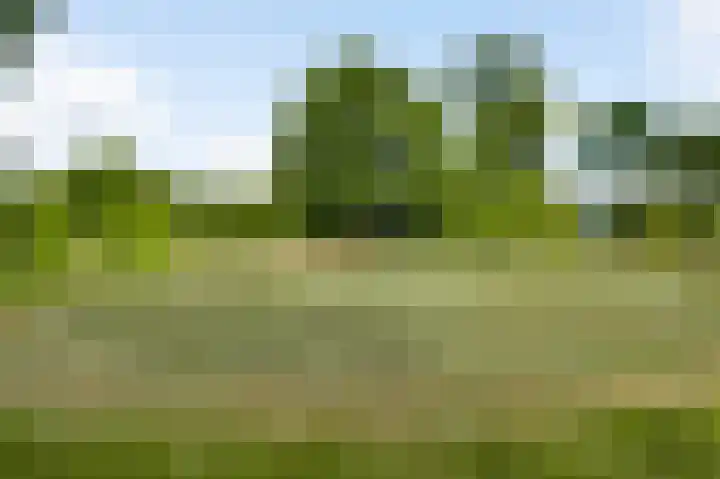Mareweg 23 a Schimmert thumbnail 34