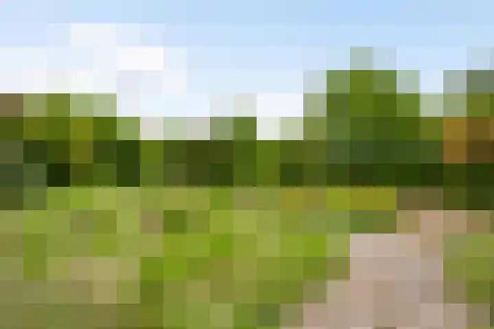 Mareweg 23 a Schimmert thumbnail 36