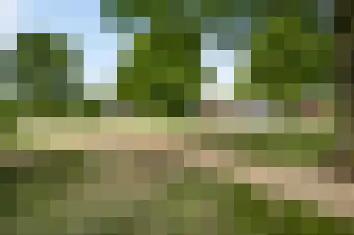 Mareweg 23 a Schimmert thumbnail 37