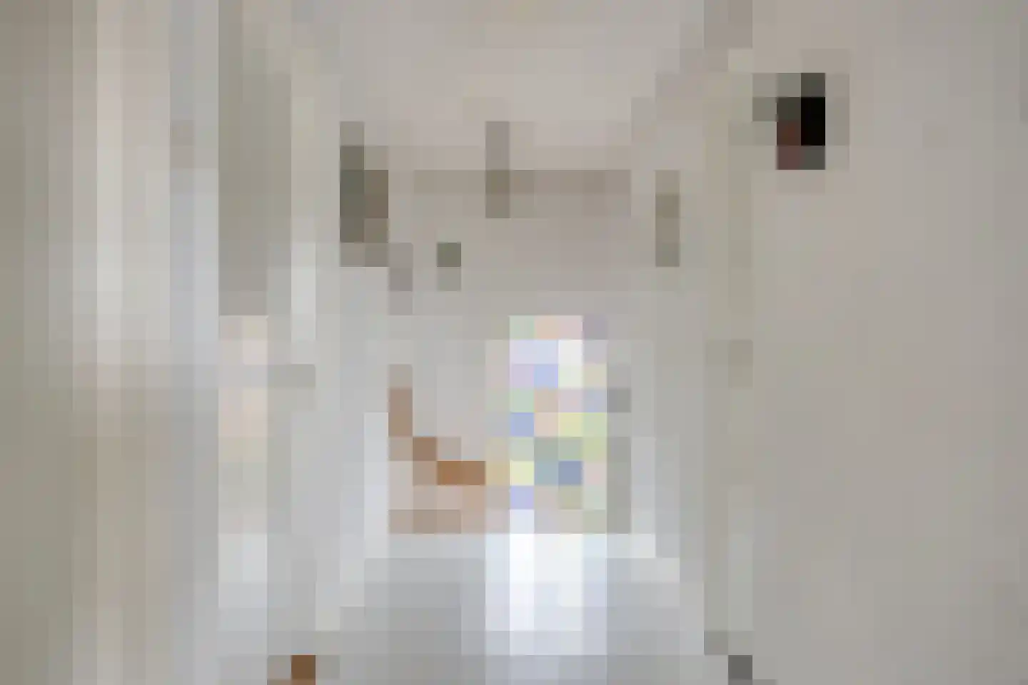Mareweg 7 Schimmert thumbnail 14