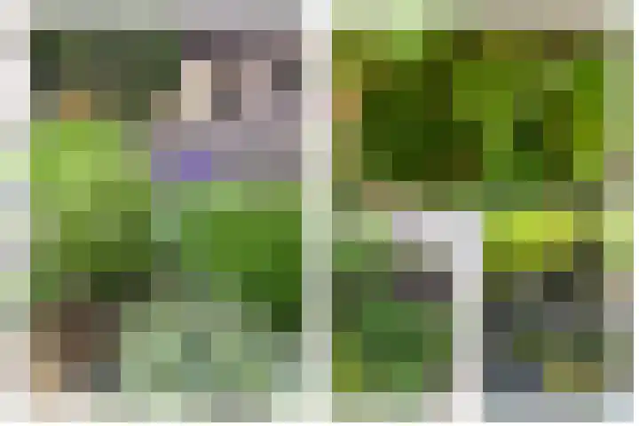 Marezatendreef 15 Alphen aan den Rijn thumbnail 10