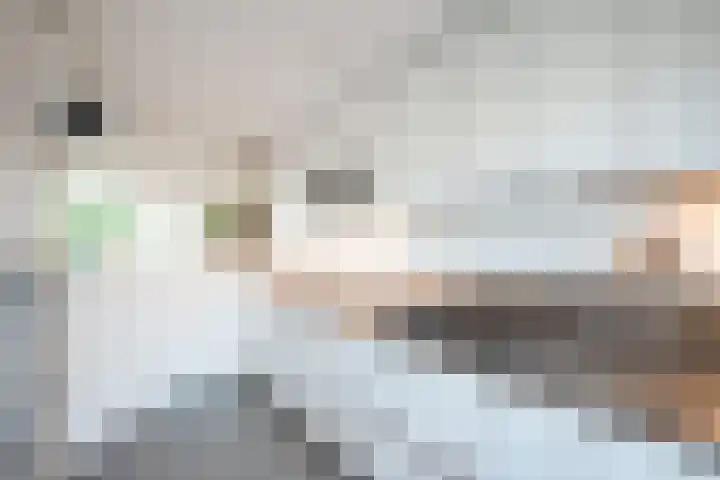 Marezatendreef 15 Alphen aan den Rijn thumbnail 20