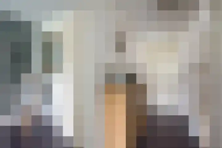 Marezatendreef 15 Alphen aan den Rijn thumbnail 29