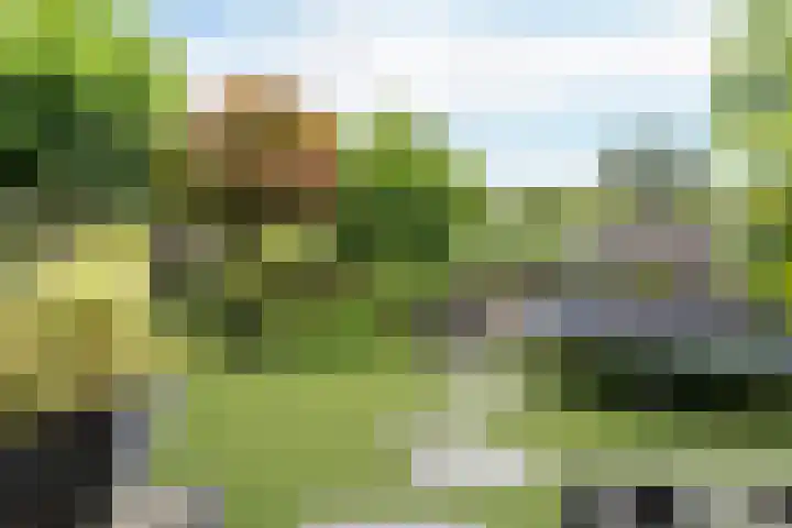 Marezatendreef 78 Alphen aan den Rijn thumbnail 16