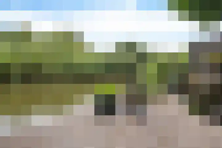 Marezatendreef 78 Alphen aan den Rijn thumbnail 17