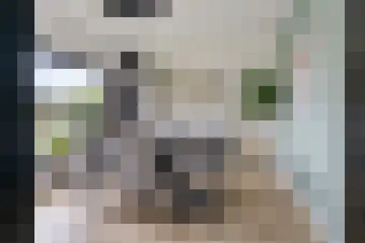 Marezatendreef 78 Alphen aan den Rijn thumbnail 5