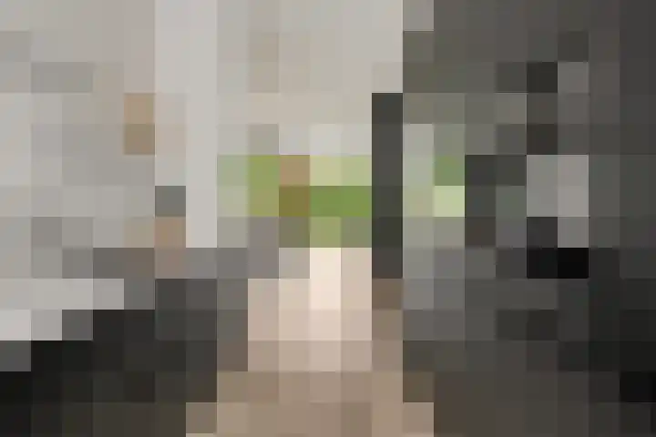 Marezatendreef 78 Alphen aan den Rijn thumbnail 6