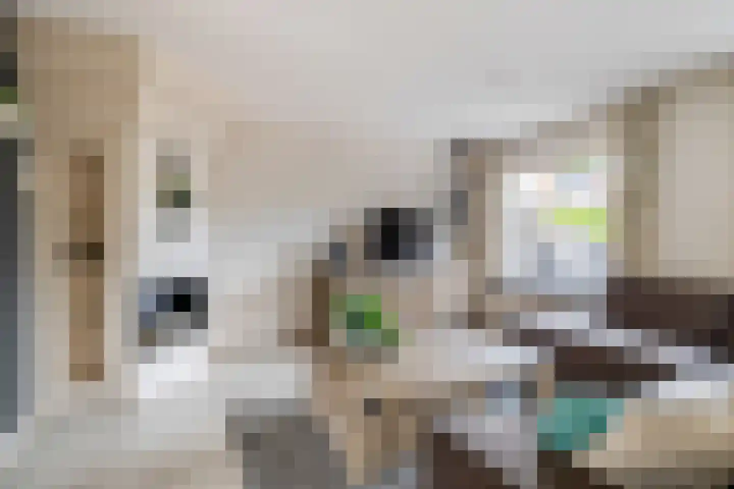 Marga Klompéhoeve 1 Waddinxveen thumbnail 10