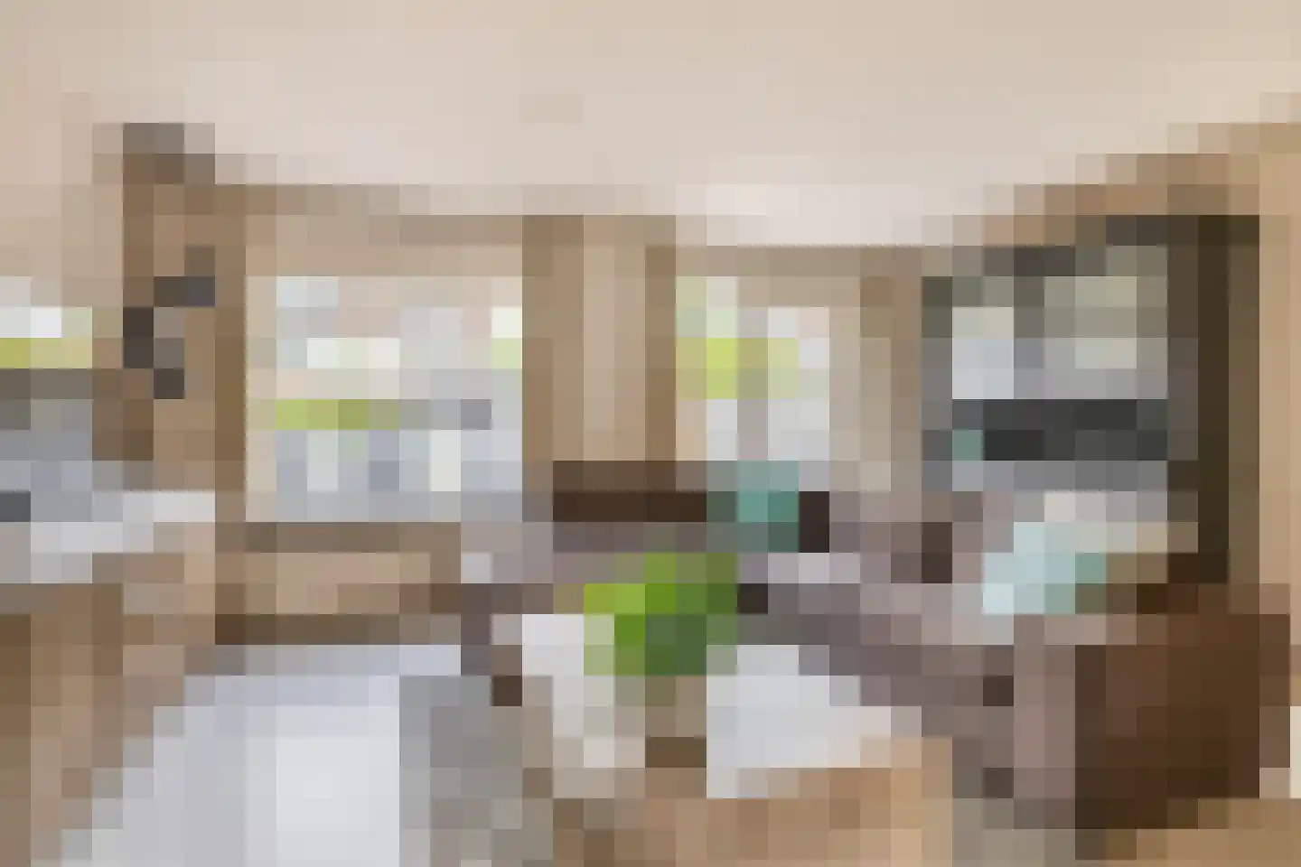 Marga Klompéhoeve 1 Waddinxveen thumbnail 11