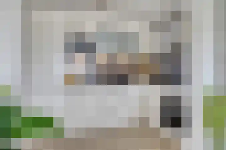 Marga Klompéhof 100 Almere thumbnail 11