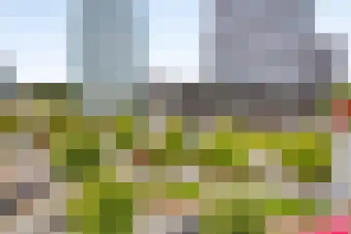 Marga Klompéhof 100 Almere thumbnail 20