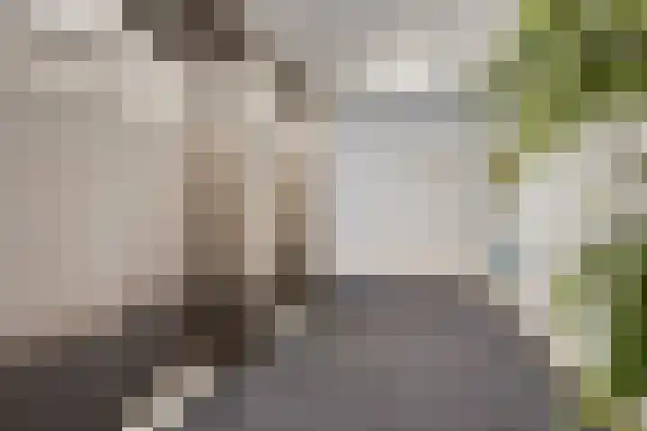 Marga Klompéhof 100 Almere thumbnail 5