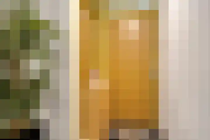 Marga Klompéhof 100 Almere thumbnail 6