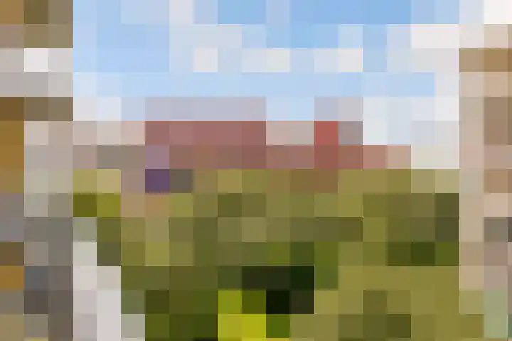 Marga Klompéhof 83 Almere thumbnail 31