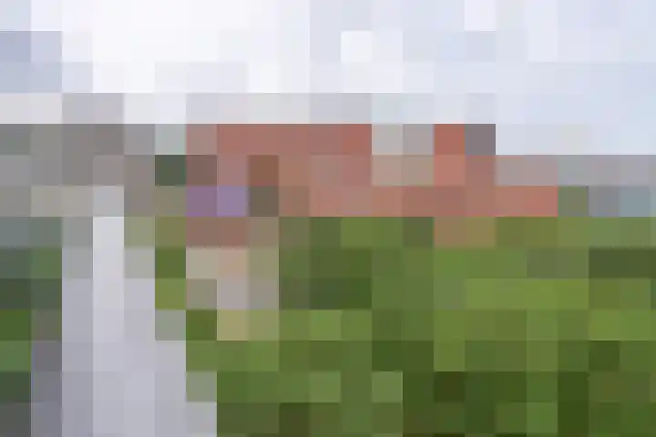 Marga Klompéhof 90 Almere thumbnail 29