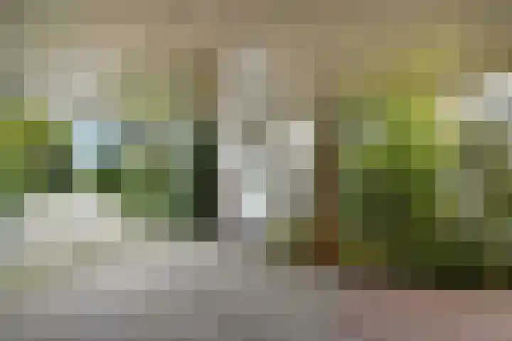 Marga Klompélaan 1 Elst thumbnail 13