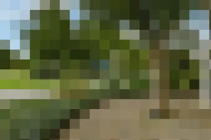 Marga Klompélaan 1 Elst thumbnail 14