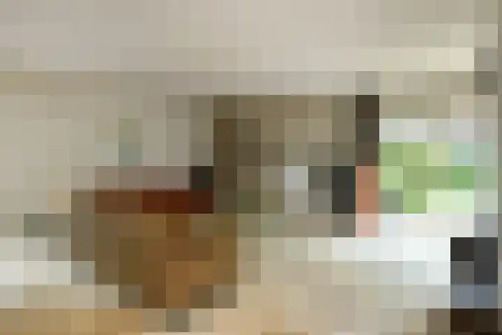Marga Klompélaan 1 Elst thumbnail 19