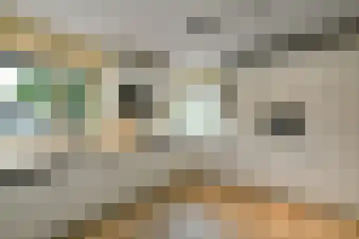 Marga Klompélaan 1 Elst thumbnail 25