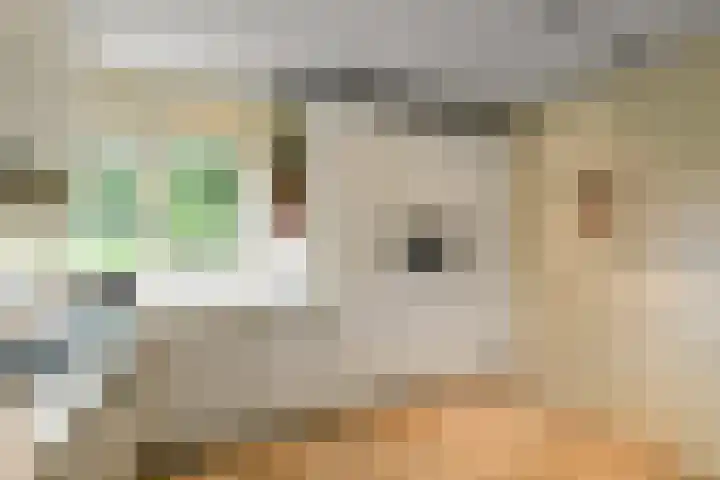 Marga Klompélaan 1 Elst thumbnail 26