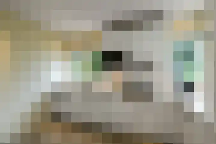 Marga Klompélaan 1 Elst thumbnail 27