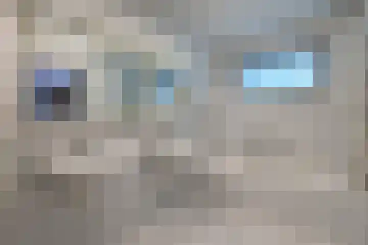 Marga Klompélaan 1 Elst thumbnail 34