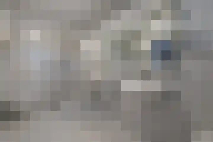 Marga Klompélaan 1 Elst thumbnail 35