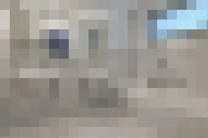 Marga Klompélaan 1 Elst thumbnail 36