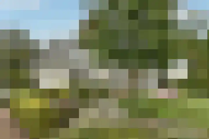 Marga Klompélaan 1 Elst thumbnail 4