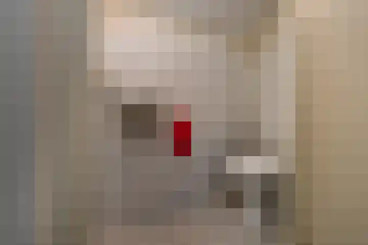 Marga Klompélaan 1 Elst thumbnail 40