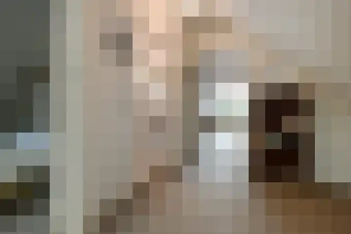 Marga Klompélaan 1 Elst thumbnail 41