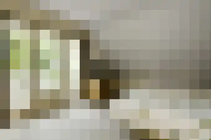 Marga Klompélaan 1 Elst thumbnail 42