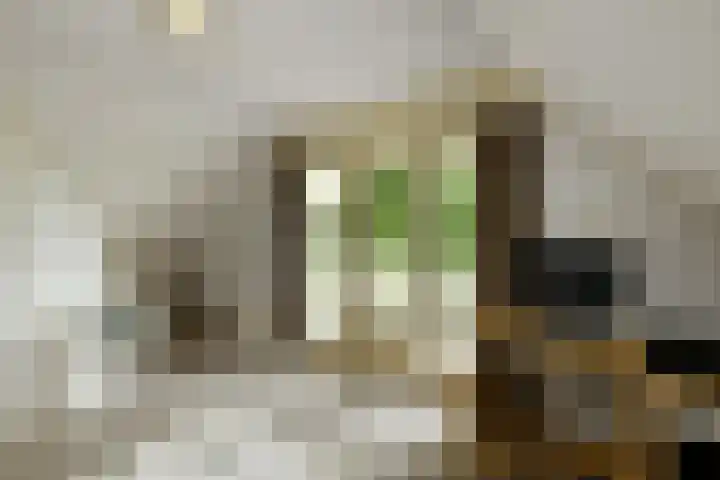 Marga Klompélaan 1 Elst thumbnail 44
