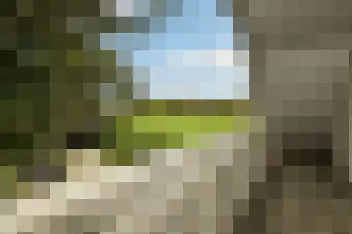 Marga Klompélaan 1 Elst thumbnail 46